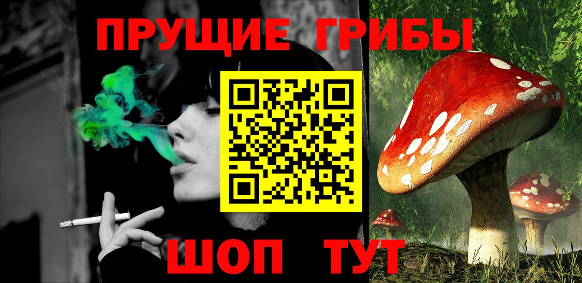 Галлюциногенные грибы MAGIC MUSHROOMS  Псилоцибиновые грибы Psilocybe  Вход с VPN  Воронеж 